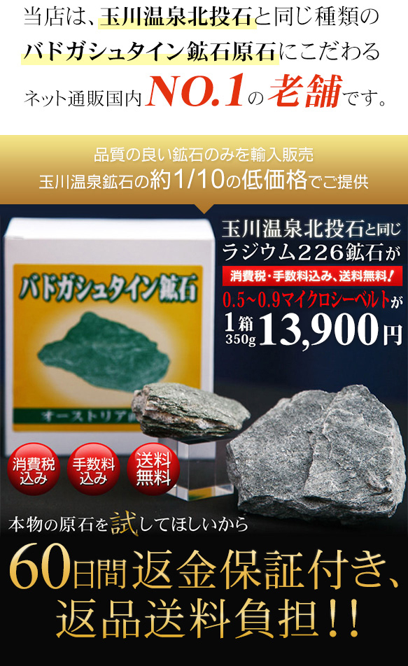 �l�b�g�ʔ̍���NO.1�̘V��