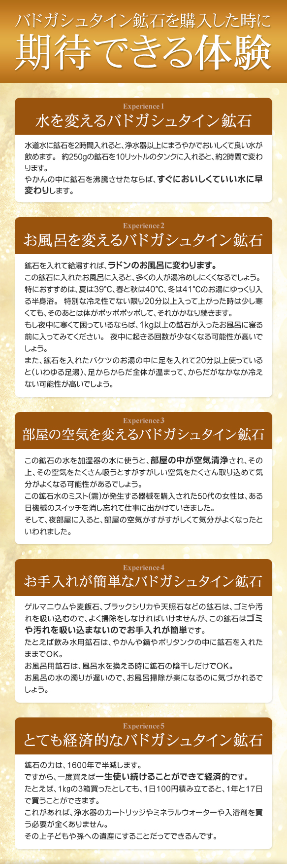 �o�h�K�V���^�C���z�΂��w���������Ɋ��҂ł���̌�