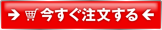 今すぐ注文する