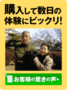 �w�����Đ����̑̌��ɂт�����u���q�l�̋����̐��v